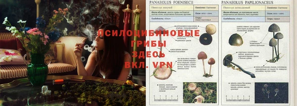 альфа пвп VHQ Фёдоровский