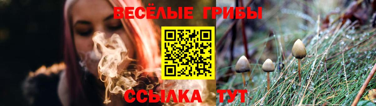 Кудымкар  купить закладку  Вход с VPN  Галлюциногенные грибы ЛСД 